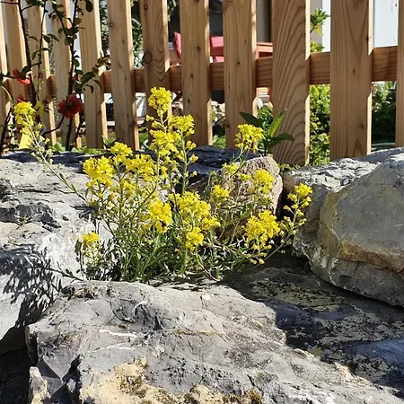 Traumhafte Gartenwohnung In Ueberlinger Hanglage - Zur Goldenen Kiwi * Uberlingen